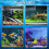 Simple Setups Aquariums Feeders Circle Transparents-square1 11