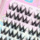 (Big Steamed Rolls) Realistic Black Thin Band Eyelashes for Women 5