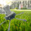 Leichtes Haushalts-Stahldraht-Trimmer-Rad (Lithium 3-blade+6-blade) 2