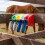 Farm Use Magnetic Veterinary Syringes Stand Set Plastic-MC 8