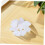 Natural Rough Quartz Stones 600g White Irregularly Shaped Quartz Crystal Aromatherapy 4