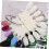 2 τεμάχια Crown Card Nail Art Display Tips Sector Fan Boards για εξάσκηση νυχιών 6