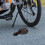 2 candados para bicicleta con cable, de acero resistente y con código de combinación de 5 dígitos. 5