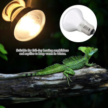 220-230V Night Heat Light Lamp Bulb for Bird Snake Reptile Pet Amphibian (50W)