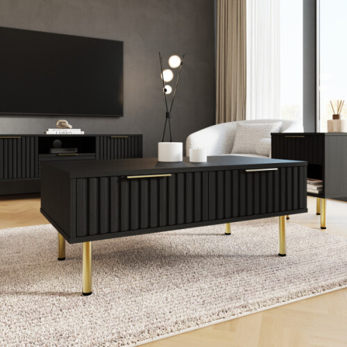 Nervata 2 Drawers Coffee Table Black 2