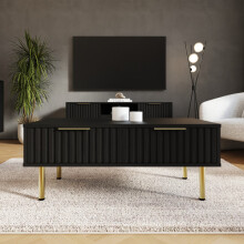 Nervata 2 Drawers Coffee Table Black
