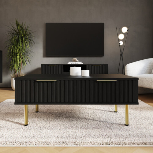 Nervata 2 Drawers Coffee Table Black