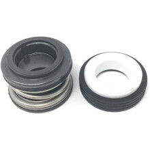 Missiscily 354545S 354545 5/8" Shaft Seal kit fits Pentair Pool/Spa Pump 92500150 SPX2700SA ps-200 (Set 1)