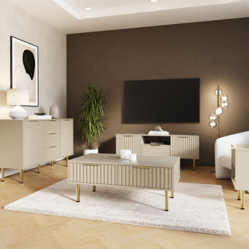 Nervata 2 Drawers Coffee Table Ivory 2