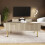 Nervata 2 Drawers Coffee Table Ivory 1