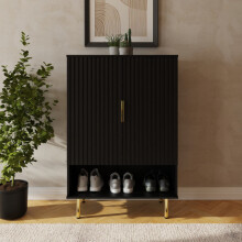 Nervata 2 Door 1 Shelf Shoe Cabinet Black