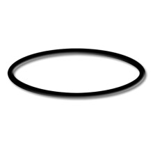Spare Part Swimming Pool Pump WilTec-550/750 O-Ring 1