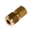 8mm x 1/8" BSP Female Compression Coupling Brass CxFI 1