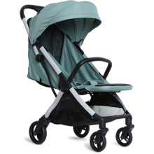 Whirl Auto fold Stroller Mint