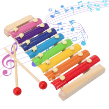 Xylophone For Music Enthusiasts, Glockenspiel With Mallets, Professional Glocken