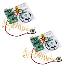 USB Audio Module AYWHP 2pcs Type-C Module Audio Chip MP3 with Rechargeable Batte