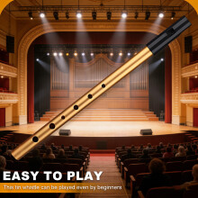 2 Pack Tin Whistle, Premium D Key Irish 6-Hole Penny Whistle for Traditional Cel