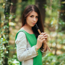 Authentic D Tin Whistle Penny Whistle, 6-Hole Design With Clear Tone And Stable