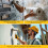 Sika SikaBond PVA General Purpose Bonding Agent – 500ml 6