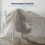 Besto Dust Sheets for Decorating Waterproof 12ft x 9ft Twill Laminated Polythene 5