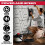 Excel 2000W Electric Wallpaper Steamer Stripper 240V 4