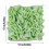 (Green) Éponge Douche Exfoliante & Brosse Dos 2