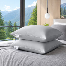 (Pack of 2, Silver) Pillow Protectors 50x75cm - 100% Microfiber Pillowcovers- Washable & Anti Allergic Designed for All Pillows