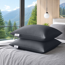 (Pack of 2, Charcoal) Pillow Protectors 50x75cm - 100% Microfiber Pillowcovers- Washable & Anti Allergic Designed for All Pillows