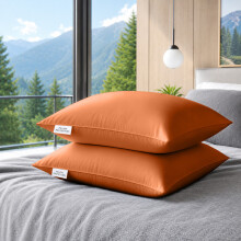 (Pack of 2, Rust) Pillow Protectors 50x75cm - 100% Microfiber Pillowcovers- Washable & Anti Allergic Designed for All Pillows