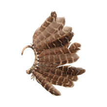 1 Piece Unisex Large Feather Ear Cuff Non-Hole Punching Gold Clip-On Earrings