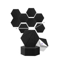 12er-Pack Akustikschaumstoffplatten, 12 x 10 x 6 x 0,4 Zoll, selbstklebende Schallschutz-Wandpaneele