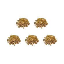 150 Stück neue goldene Schlagbrettschrauben für Strat / Tele E-Gitarre Bass