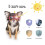 Gafas de sol para perros con correa ajustable para protección UV e impermeable para perros. 3