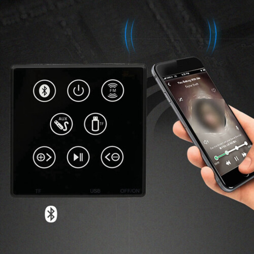 86F Lower control panel with integrated playback, home background music host system controller 1