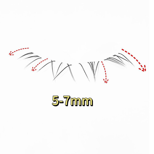 (Adhesive style) Natural Black False Eyelashes C Curl 50 Char 2