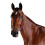 (Cob, Brown) Collegiate Comfitec Crystal Leather Bridle 1