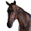 (Cob, Black) Collegiate Comfitec Crystal Leather Bridle 1