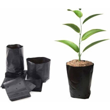 100pcs Thickened Plastic Nursery Bags 10x20cm with Breathable Holes for Fruit and Flower Seedlings and Garden Label