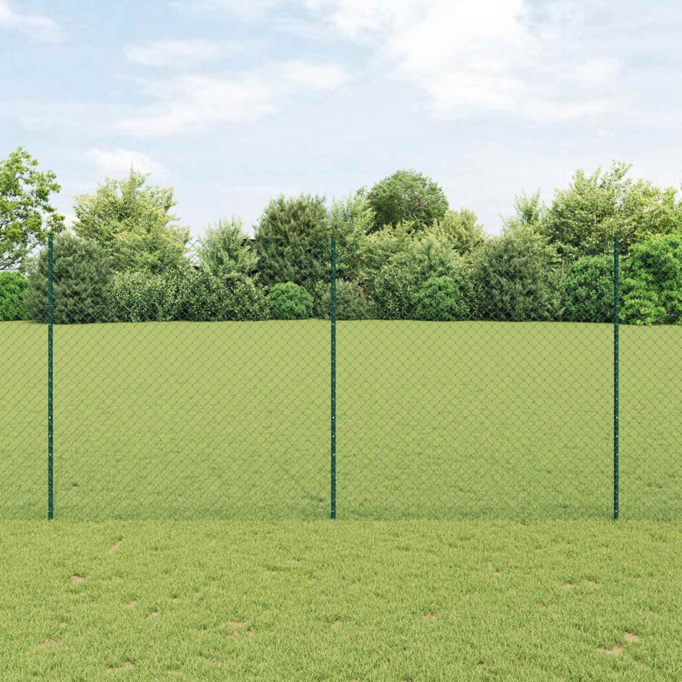 Vidaxl Chain Link Fence With Post 10 X 1.6 M Pvc-Coated Steel Green