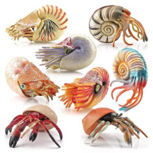 Toddler Toy - MARSEE - Ocean Creature Action Figure - 6 Nautiluses - 2 Hermit Crabs