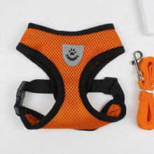 Orange Version - S - Breathable Wing Small Dog Pet Harness and Leash Set Puppy Cat Vest Collar for Chihuahua Pug