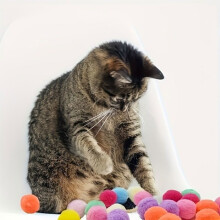 Set of 20 interactive balls for cats and dogs, silent balls for play and training, plush material, battery-free