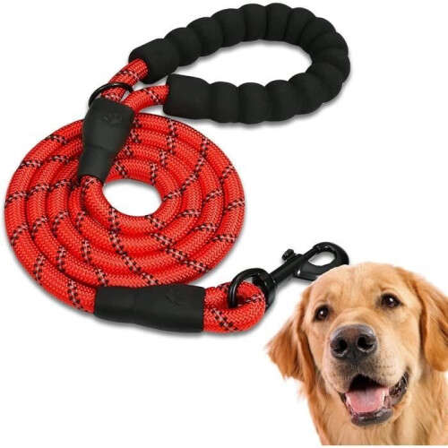 Strong and Comfortable Dog Leash for Medium Dogs - FOOTIER - Red 1