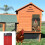 Automatic Chicken Coop Door - New - Waterproof - Light Sensor - 35x24 cm - ABS 3