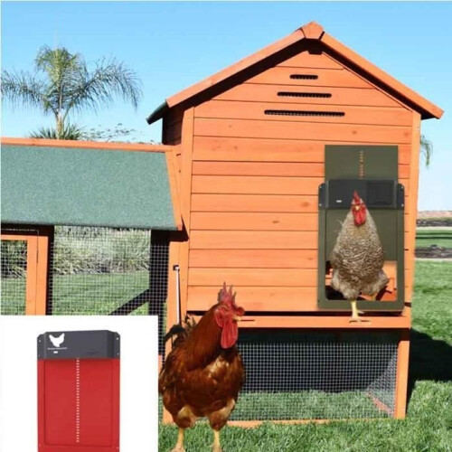 Automatic Chicken Coop Door - New - Waterproof - Light Sensor - 35x24 cm - ABS 2