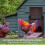 Automatic Chicken Coop Door with Light Sensing, with Timer and Light Sensor, IP44 Weatherproof [106] 2