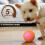 Smart Rolling Ball for Dogs and Cats, Interactive Toy, Bite-Resistant, with Light - Orange 5