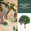 8St Mini Model PVC Voor Micro Landschap En Speelgoeddecor 3