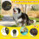 Dog Toy - Squeaky Ball - Yellow - Interactive - Medium and Large 2
