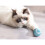 USB Electric Interactive Ball for Cats and Dogs 3